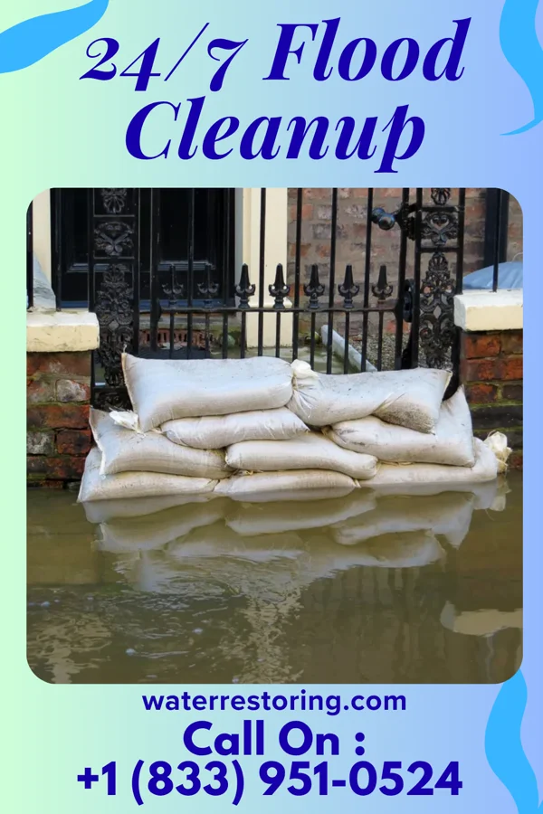 24/7 Flood Cleanup in Aliquippa, PA