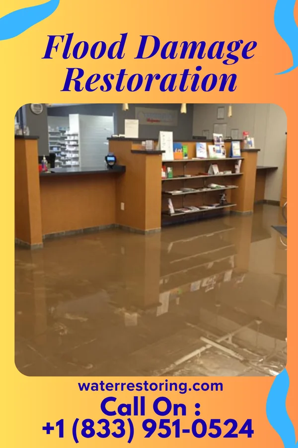 Flood Damage Restoration in Aliquippa, PA