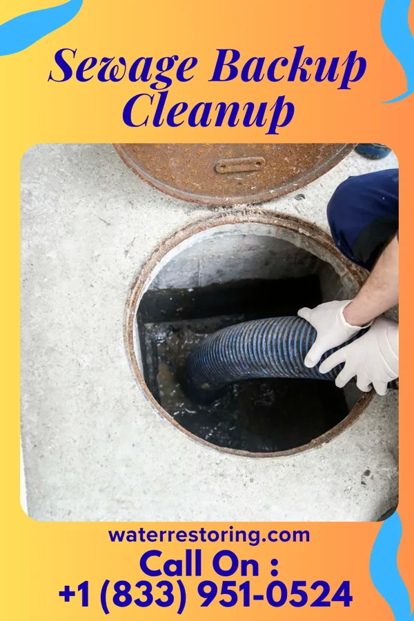 Sewage Backup Cleanup in Aliquippa, PA