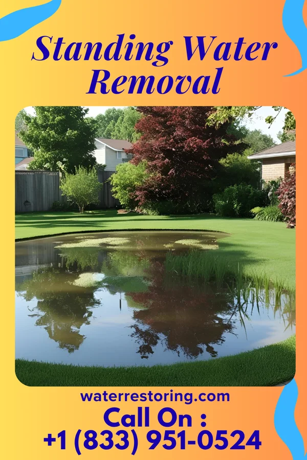 Standing Water Removal in Aliquippa, PA